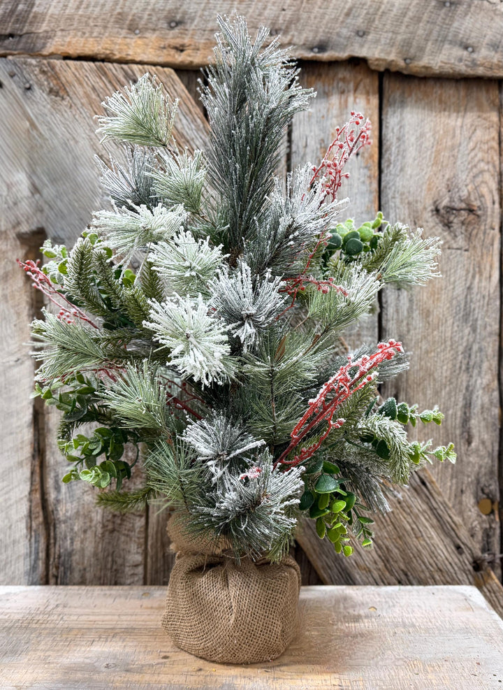 24" Tabletop Christmas Tree, Flocked Eucalptus Tree