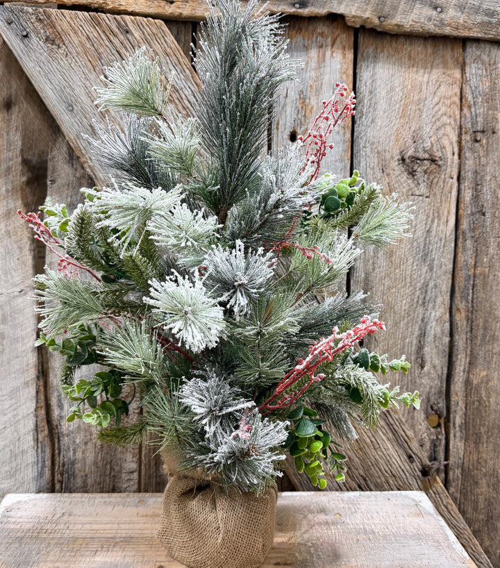 24" Tabletop Christmas Tree, Flocked Eucalptus Tree