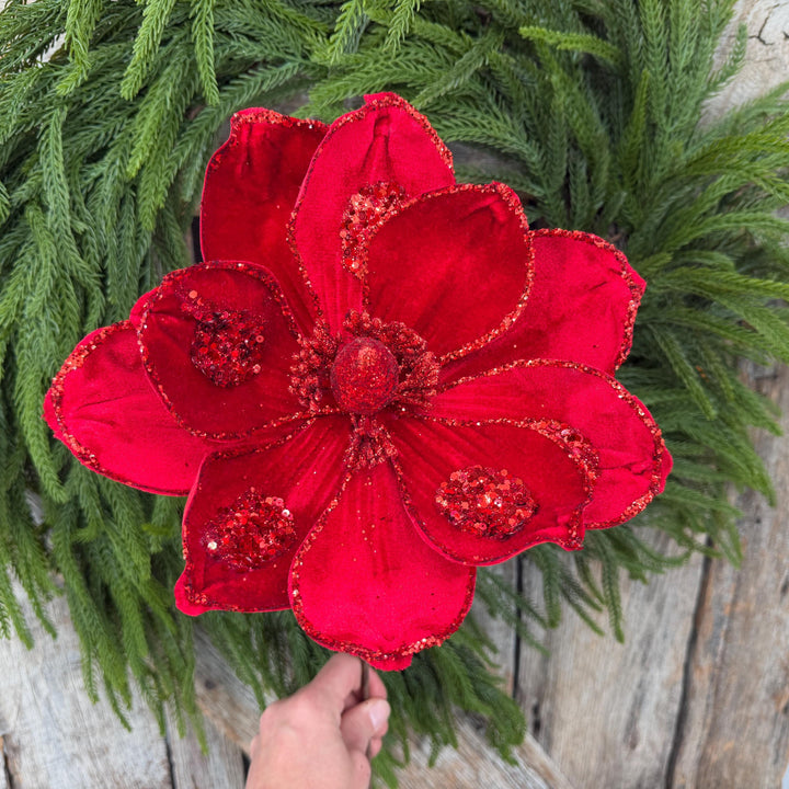 21" Red Velvet Magnolia, Christmas Magnolia