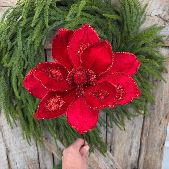 21" Red Velvet Magnolia, Christmas Magnolia