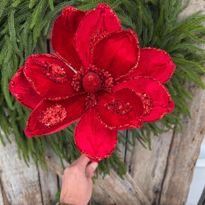 21" Red Velvet Magnolia, Christmas Magnolia