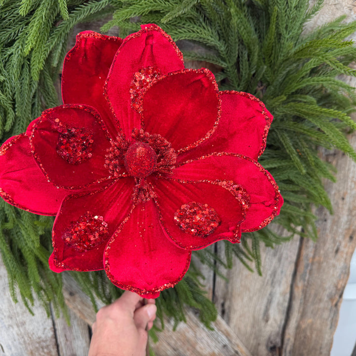 21" Red Velvet Magnolia, Christmas Magnolia