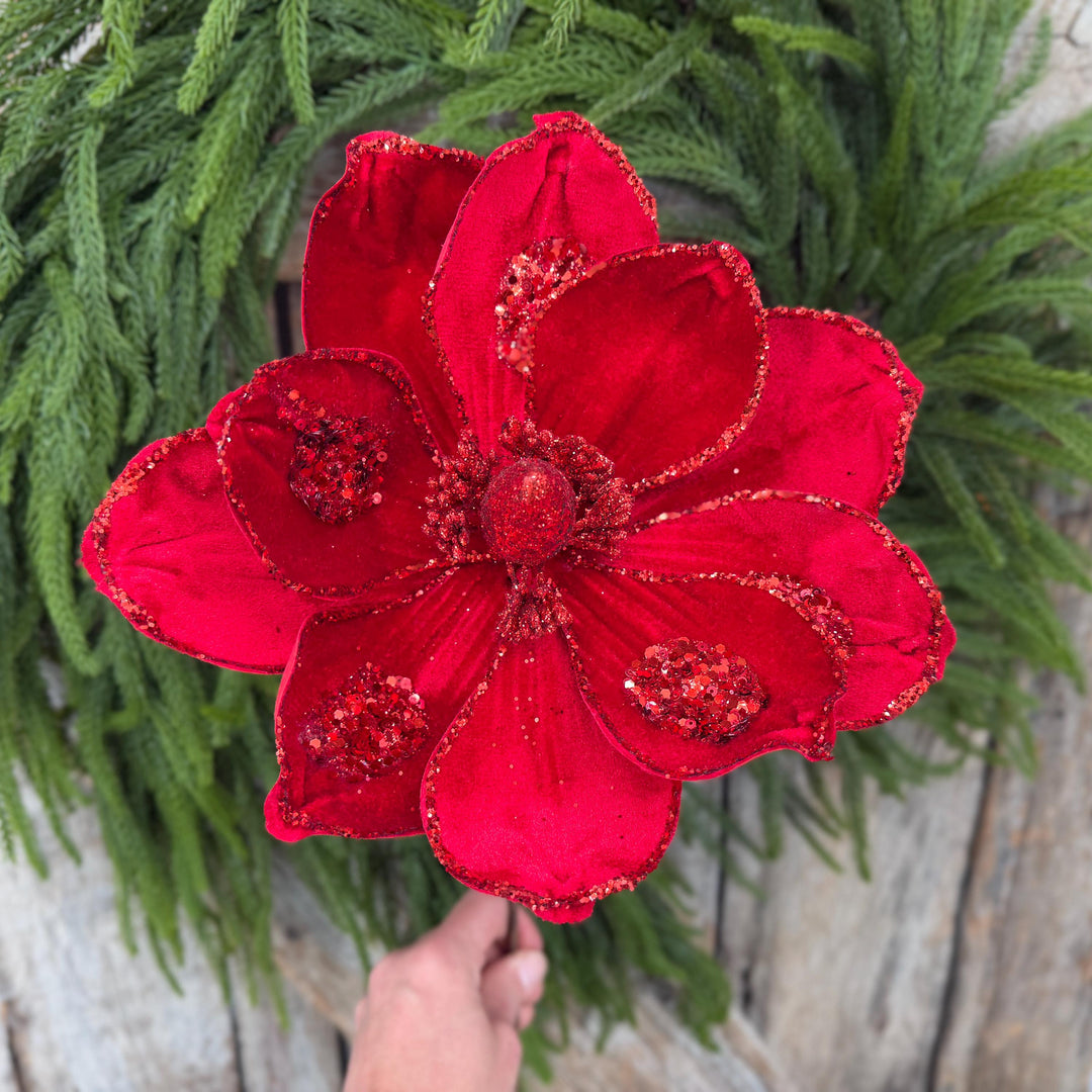 21" Red Velvet Magnolia, Christmas Magnolia