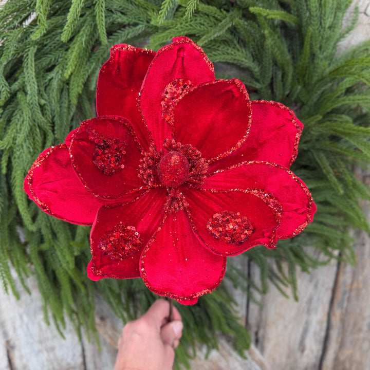 21" Red Velvet Magnolia, Christmas Magnolia