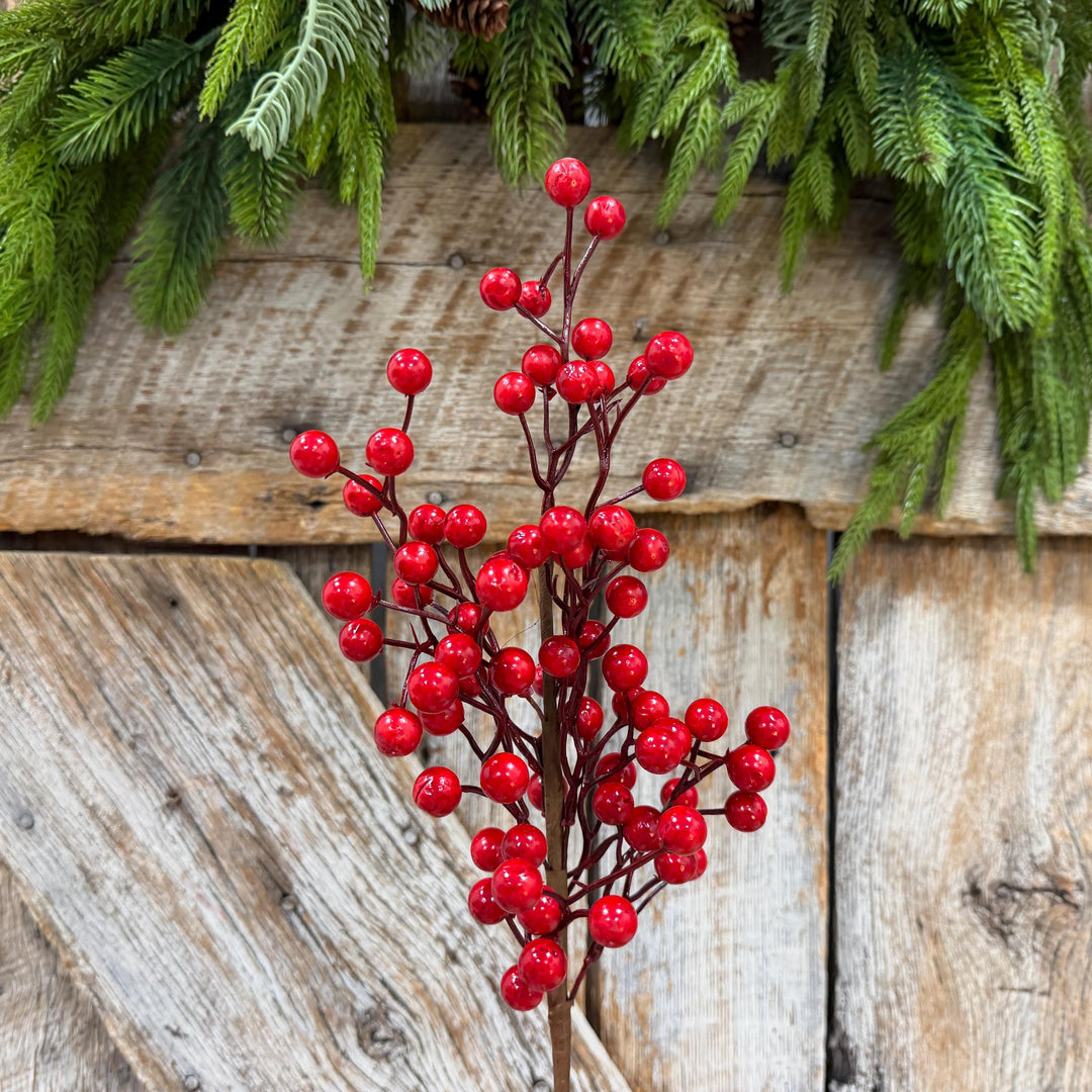 18" Red Berry Spray, Glossy Christmas Berry Pick