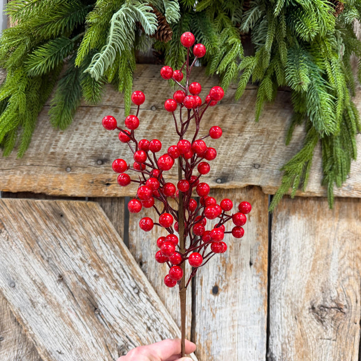 18" Red Berry Spray, Glossy Christmas Berry Pick