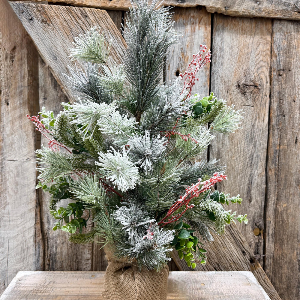 24" Tabletop Christmas Tree, Flocked Eucalptus Tree