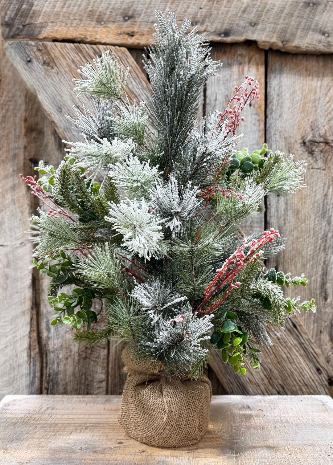 24" Tabletop Christmas Tree, Flocked Eucalptus Tree