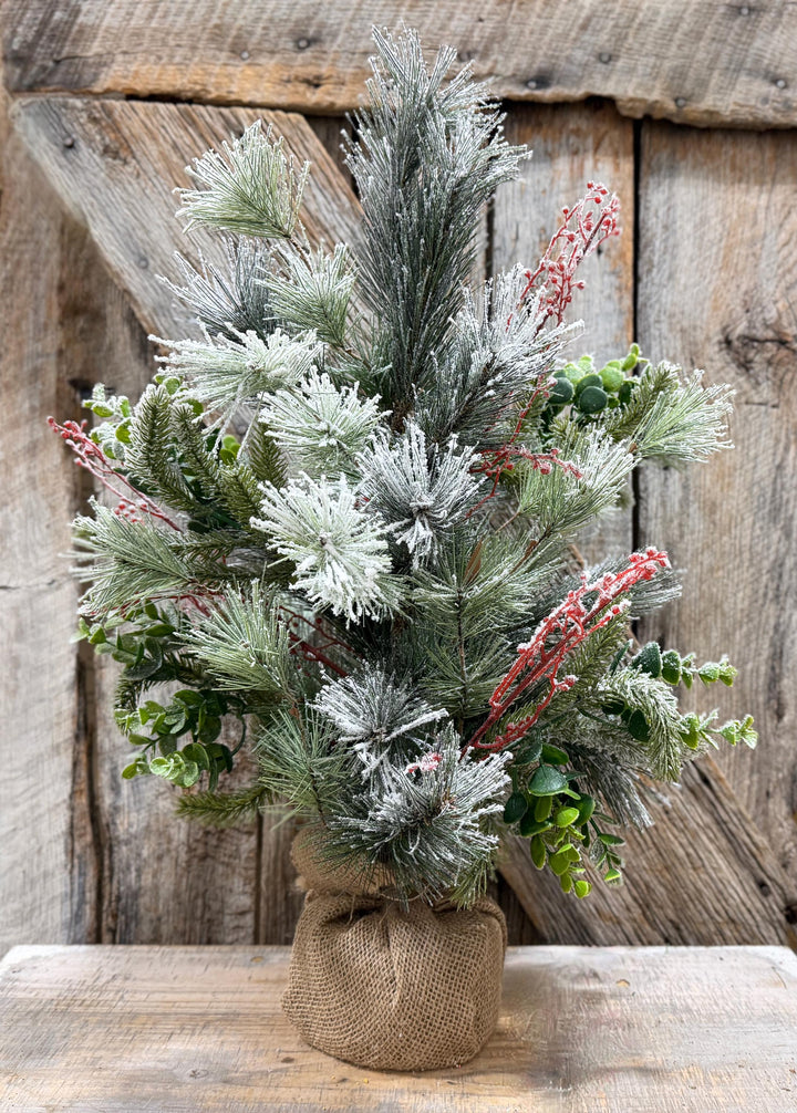 24" Tabletop Christmas Tree, Flocked Eucalptus Tree