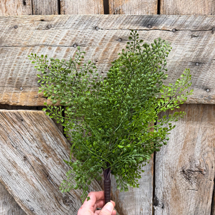 17" Maidenhair bush, Greenery Bush