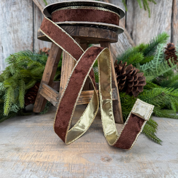 1" Chocolate Brown Velet ribbon with metallic gold backing
