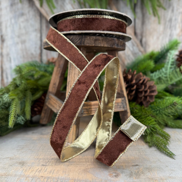 1" Chocolate Brown Velet ribbon with metallic gold backing