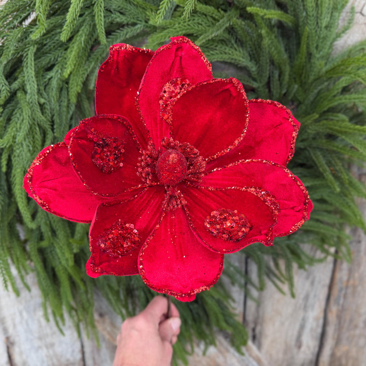 21" Red Velvet Magnolia, Christmas Magnolia