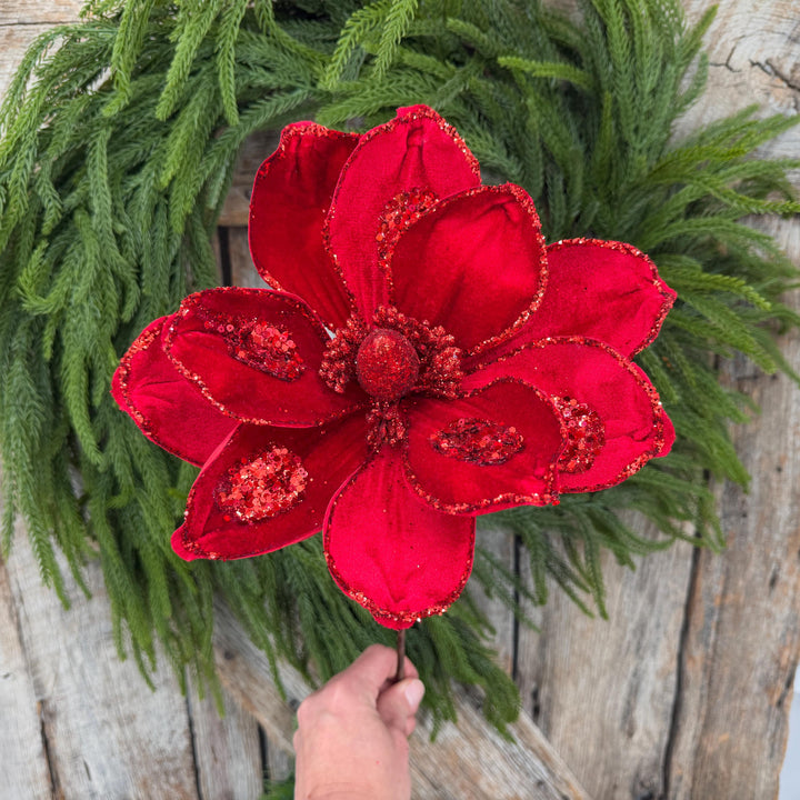 21" Red Velvet Magnolia, Christmas Magnolia