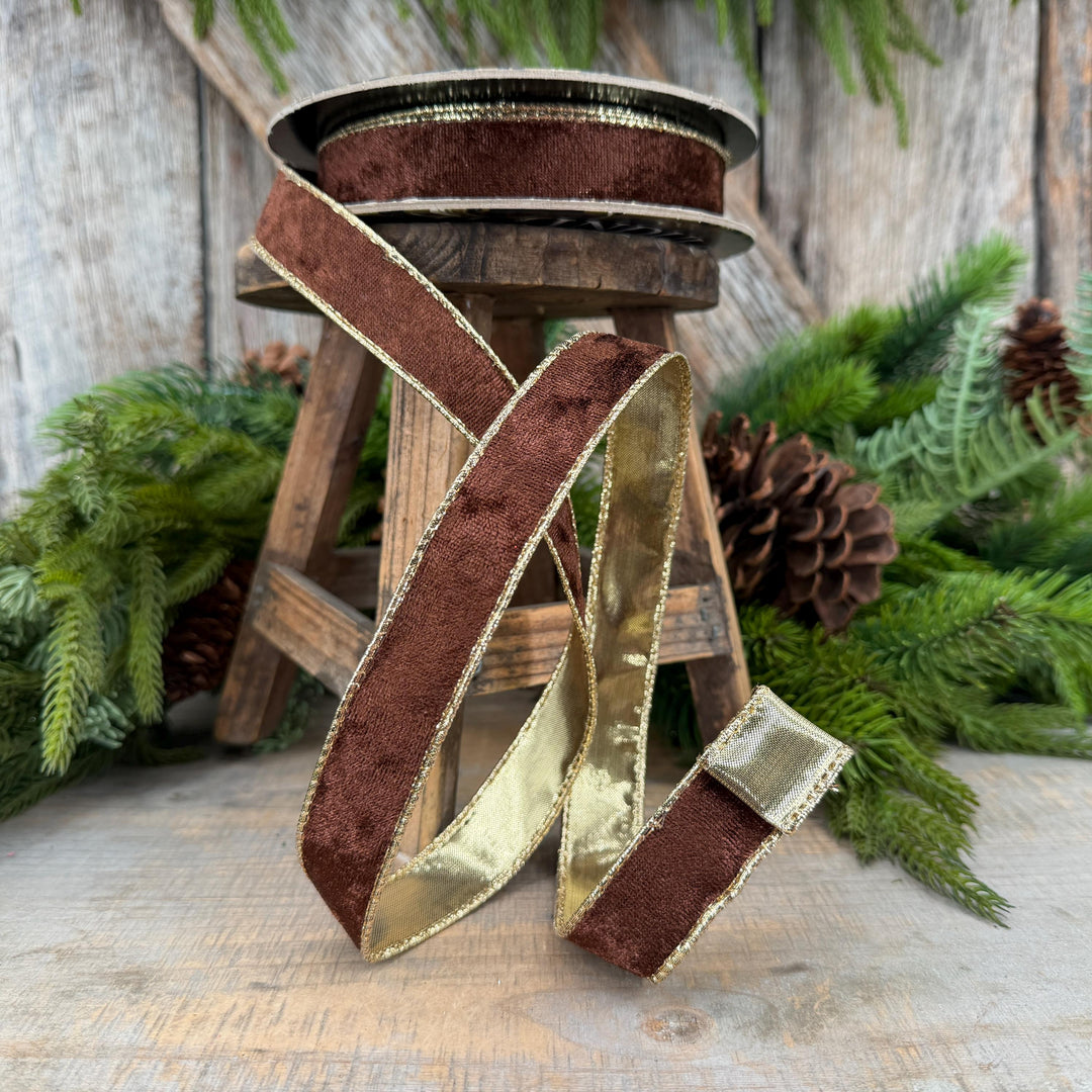 1" Chocolate Brown Velet ribbon with metallic gold backing