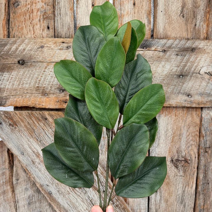 28" Green Magnolia Stem, Christmas Greenery
