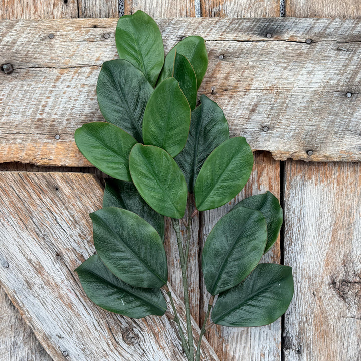 28" Green Magnolia Stem, Christmas Greenery