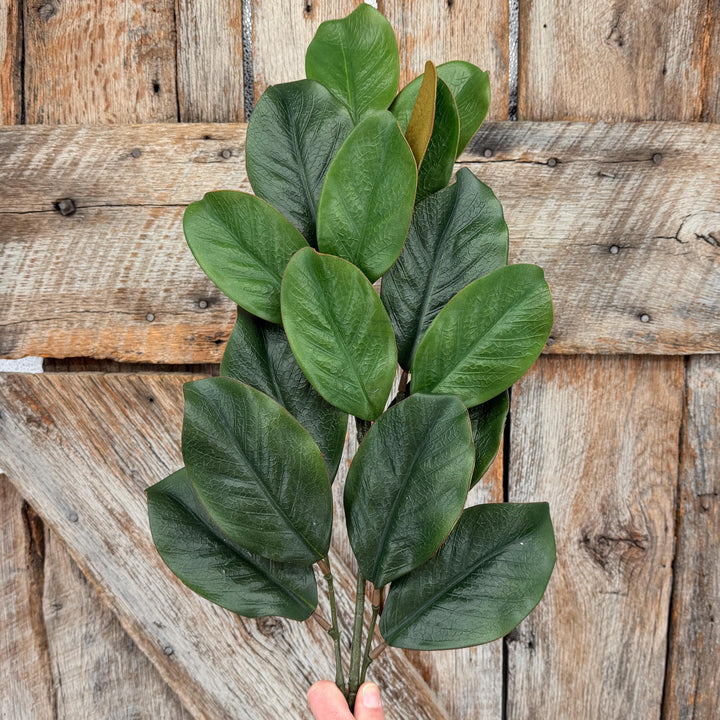 28" Green Magnolia Stem, Christmas Greenery