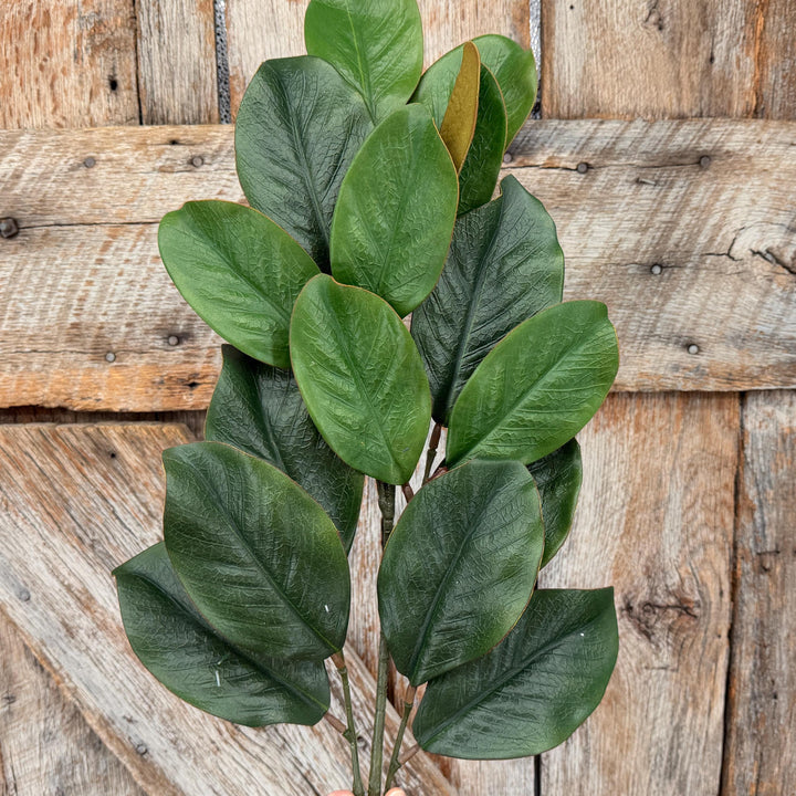 28" Green Magnolia Stem, Christmas Greenery