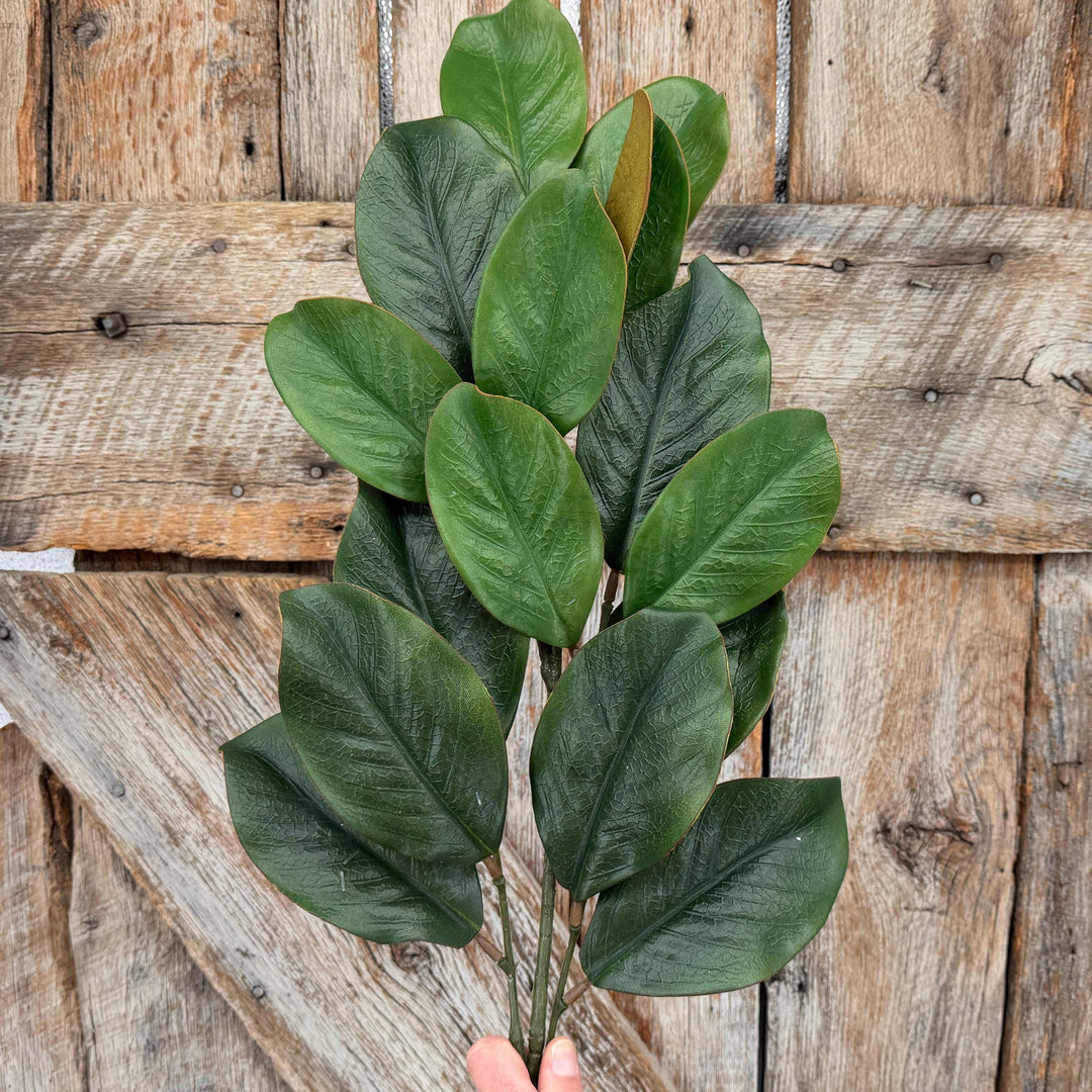 28" Green Magnolia Stem, Christmas Greenery