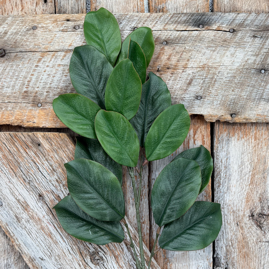 28" Green Magnolia Stem, Christmas Greenery