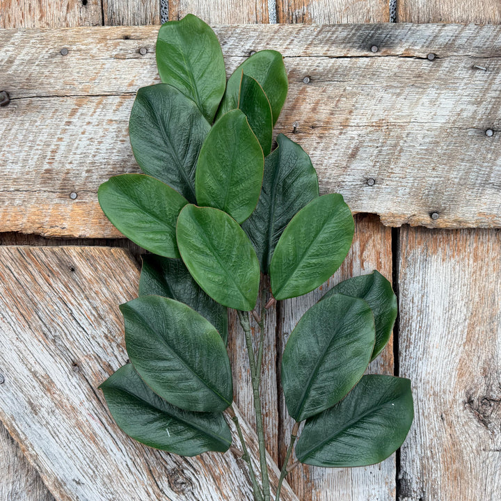 28" Green Magnolia Stem, Christmas Greenery