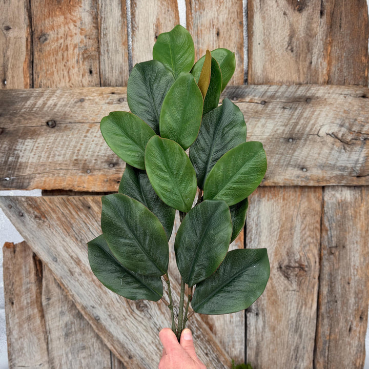 28" Green Magnolia Stem, Christmas Greenery