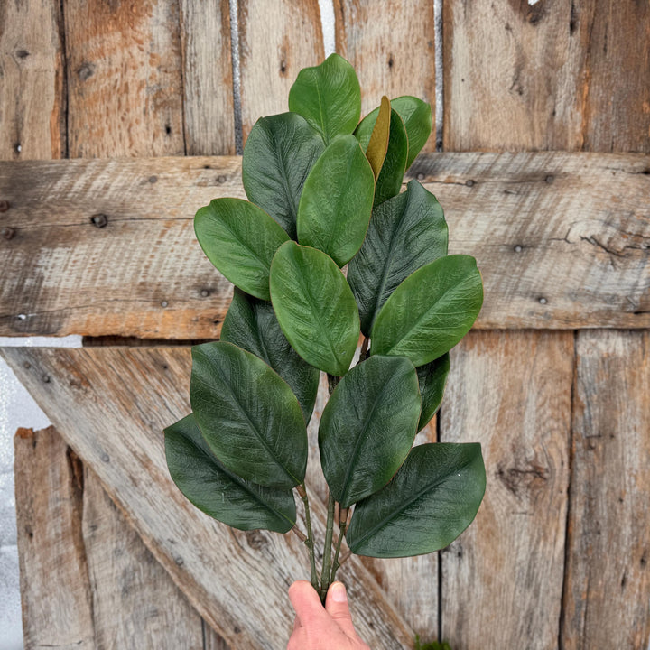 28" Green Magnolia Stem, Christmas Greenery