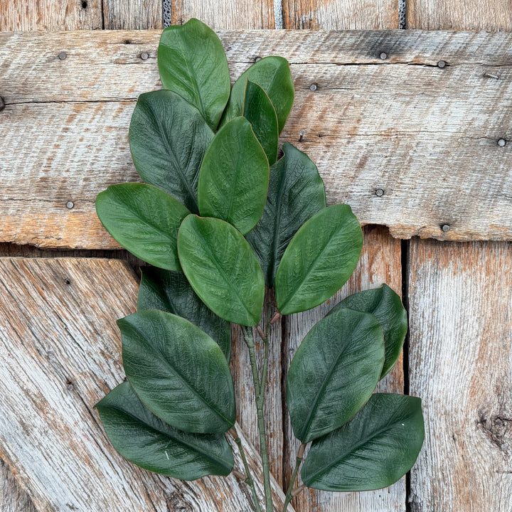 28" Green Magnolia Stem, Christmas Greenery