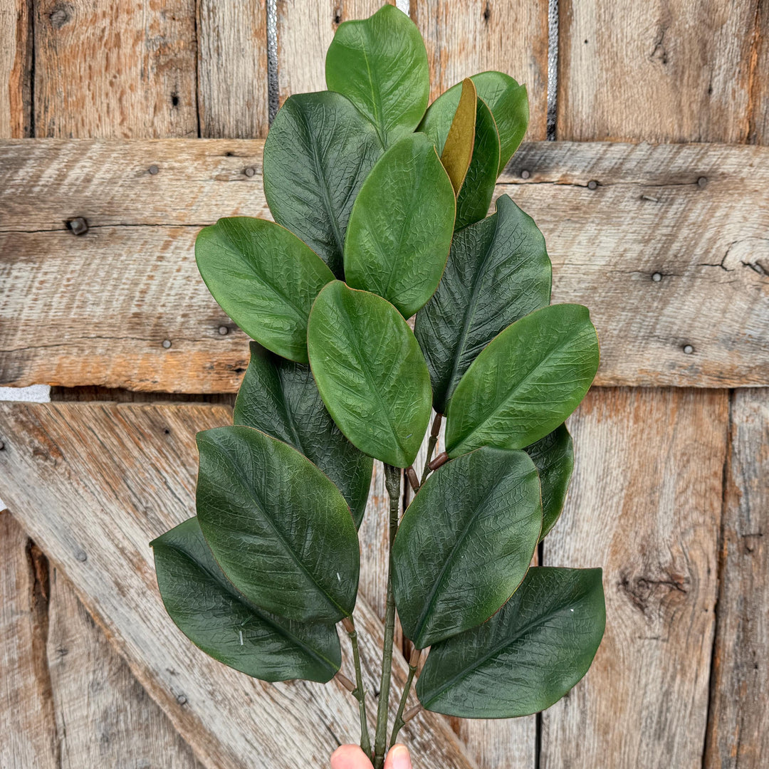 28" Green Magnolia Stem, Christmas Greenery