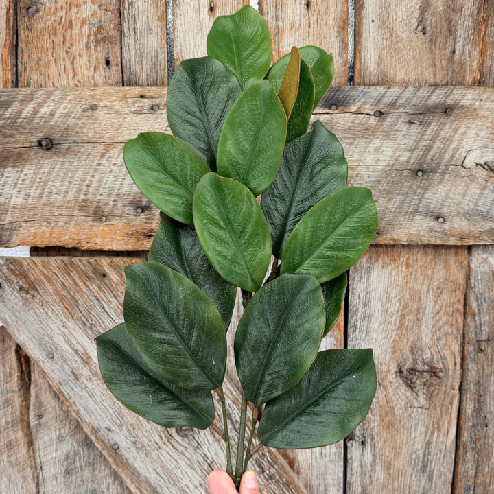 28" Green Magnolia Stem, Christmas Greenery