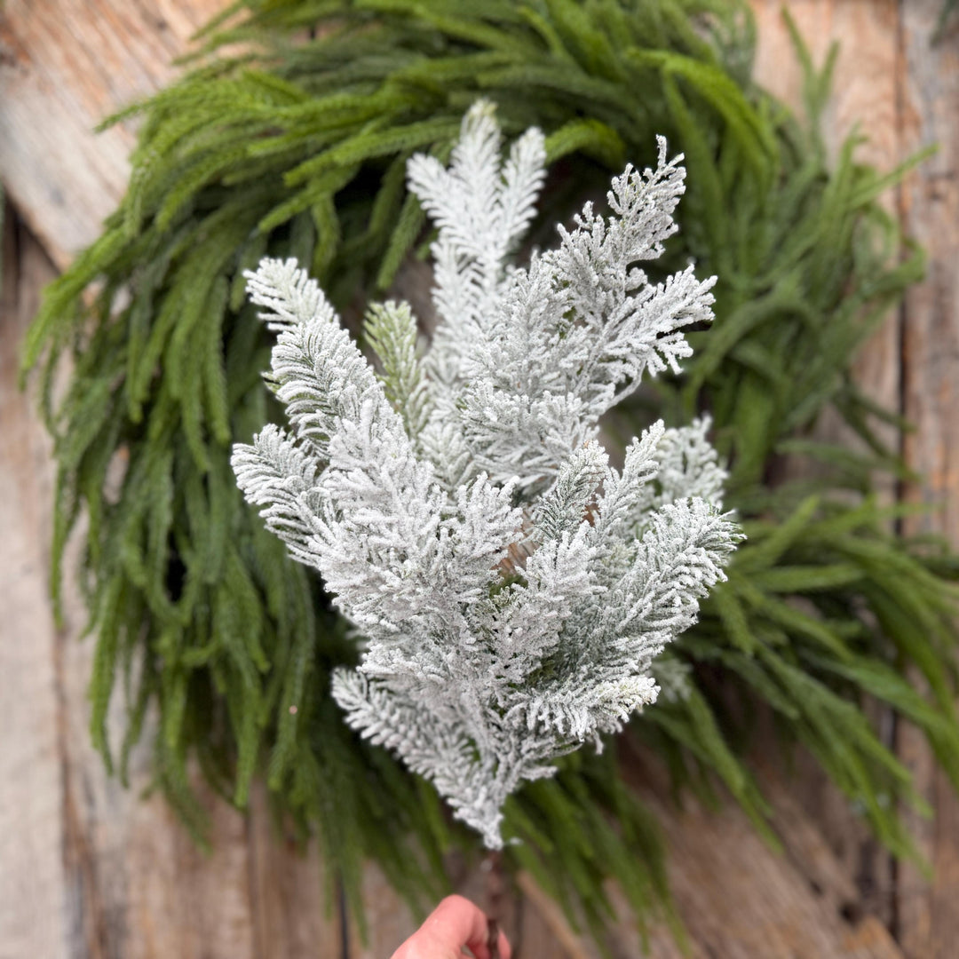 24" Snow Flocked Swiss Pine Spray – Frosted Christmas Greenery