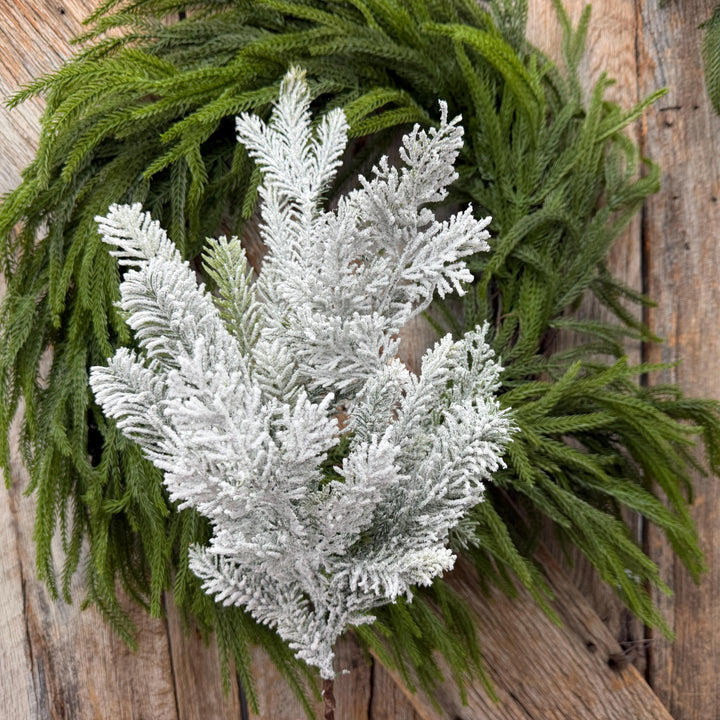 24" Snow Flocked Swiss Pine Spray – Frosted Christmas Greenery