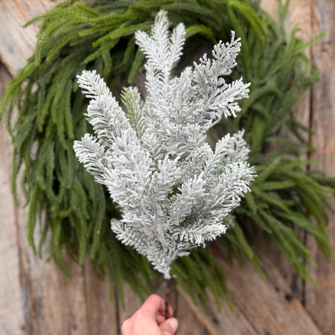 24" Snow Flocked Swiss Pine Spray – Frosted Christmas Greenery