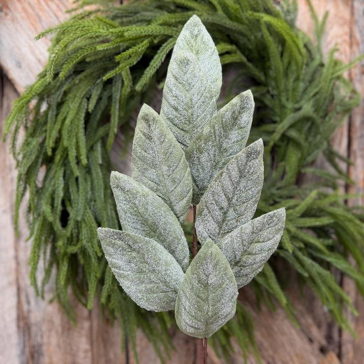 28" Frosted Green Magnolia Leaf Spray – Christmas Greenery