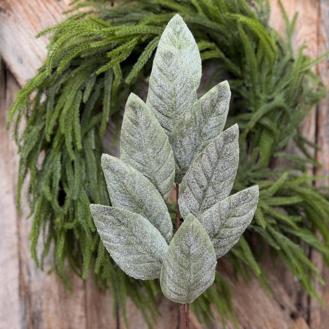 28" Frosted Green Magnolia Leaf Spray – Christmas Greenery