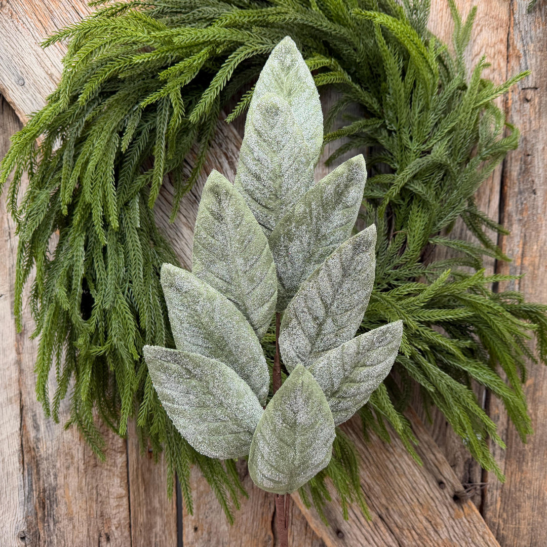 28" Frosted Green Magnolia Leaf Spray – Christmas Greenery
