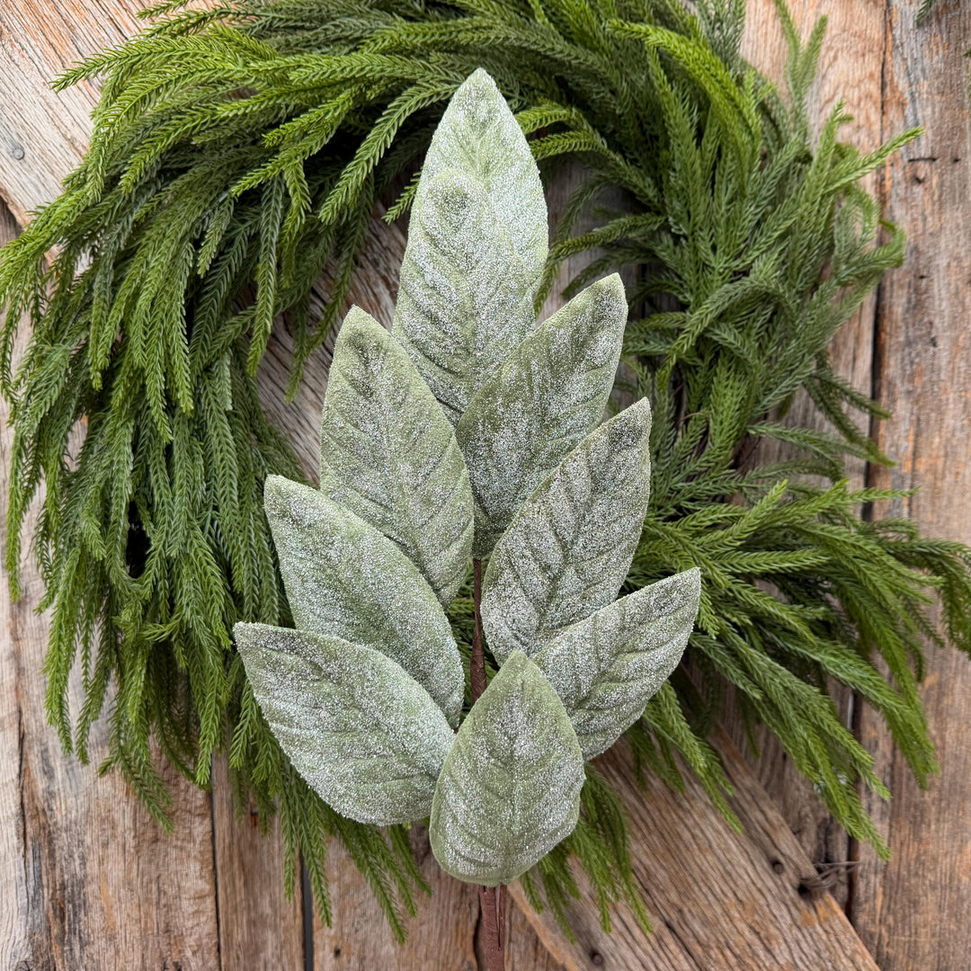 28" Frosted Green Magnolia Leaf Spray – Christmas Greenery