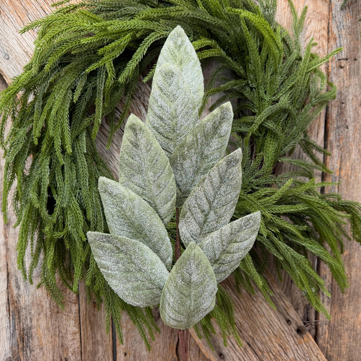 28" Frosted Green Magnolia Leaf Spray – Christmas Greenery