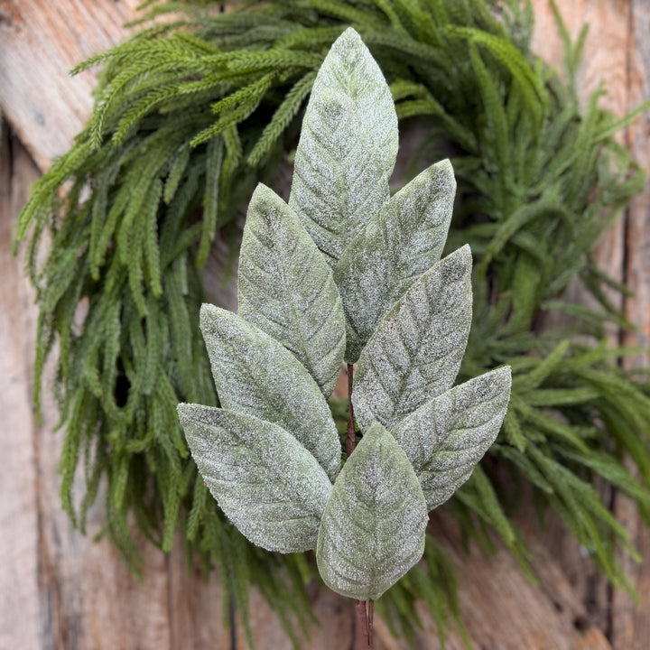 28" Frosted Green Magnolia Leaf Spray – Christmas Greenery