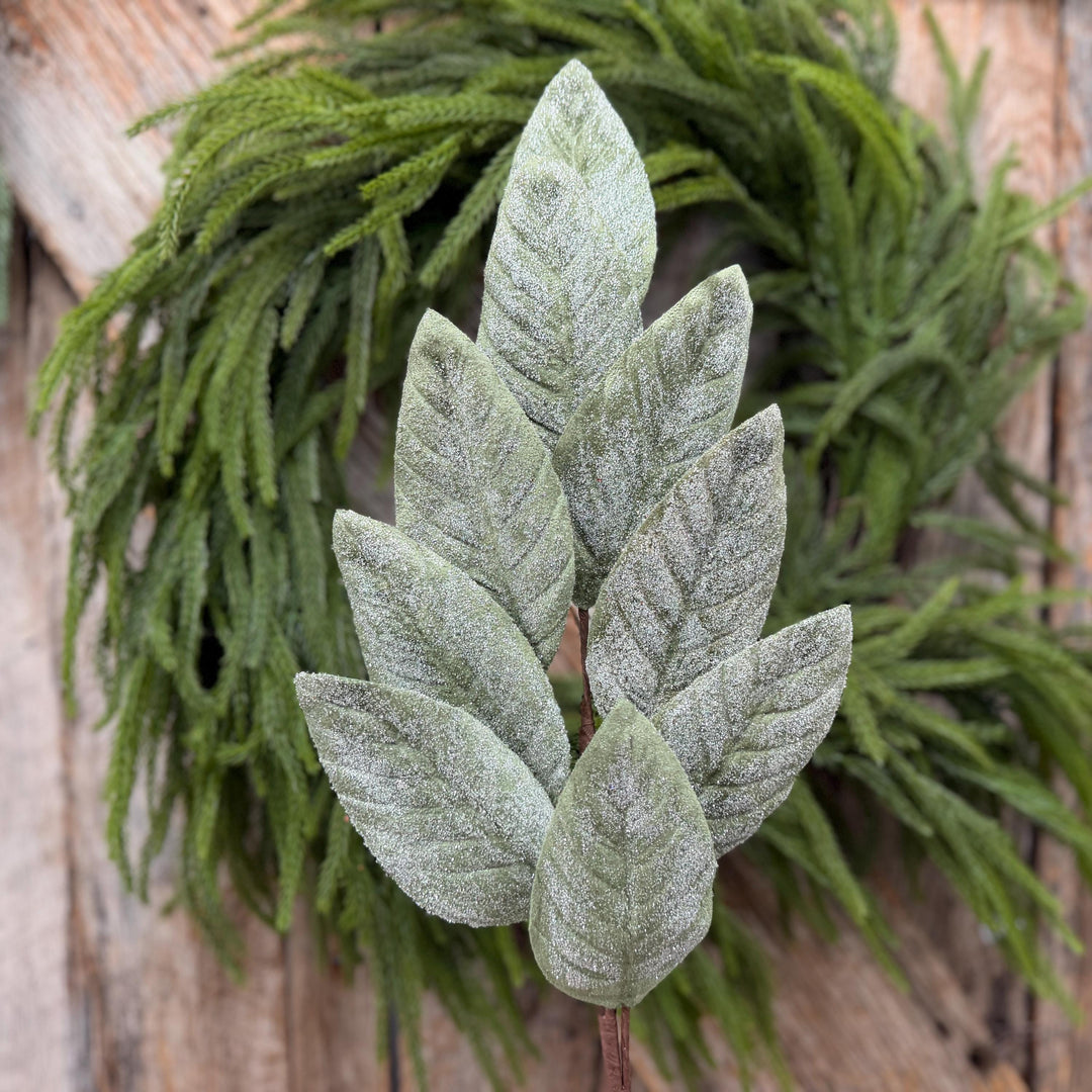 28" Frosted Green Magnolia Leaf Spray – Christmas Greenery