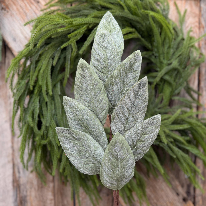 28" Frosted Green Magnolia Leaf Spray – Christmas Greenery
