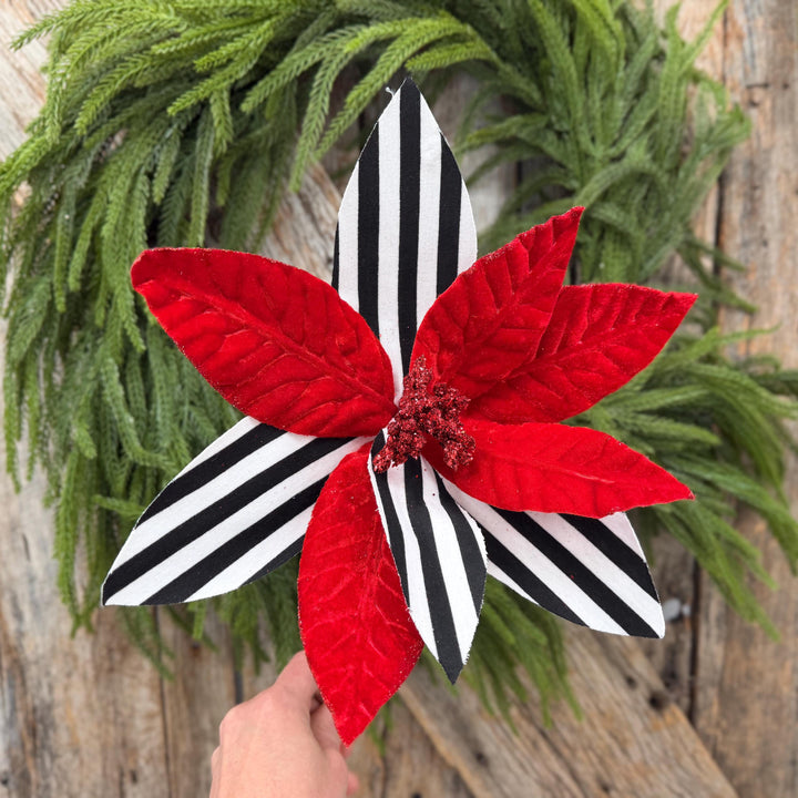 24" Red Velvet Poinsettia with Black and White Stripes