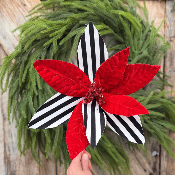 24" Red Velvet Poinsettia with Black and White Stripes