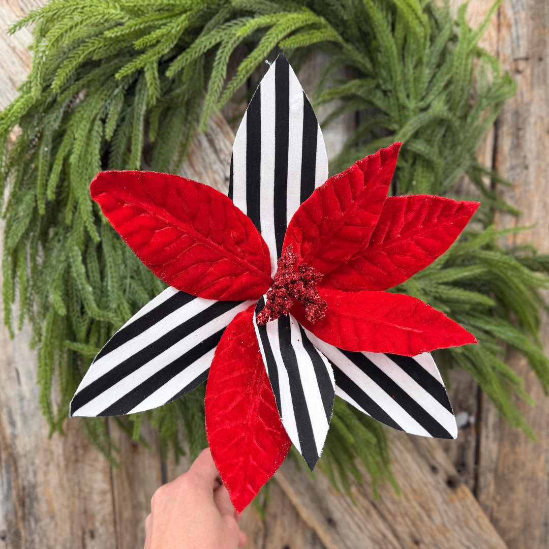 24" Red Velvet Poinsettia with Black and White Stripes