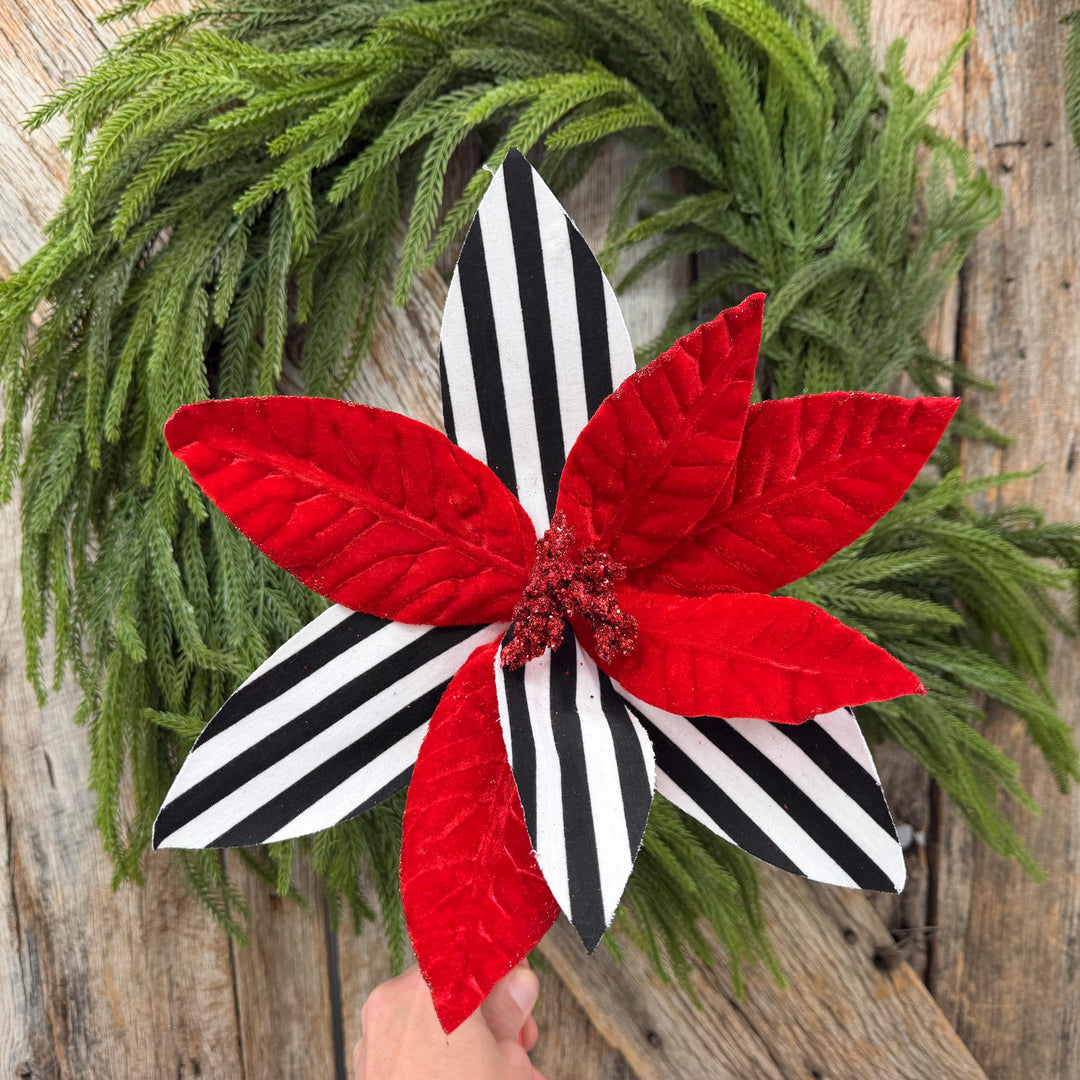24" Red Velvet Poinsettia with Black and White Stripes
