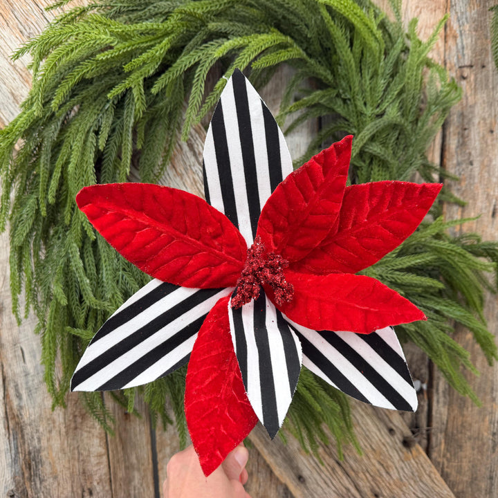24" Red Velvet Poinsettia with Black and White Stripes