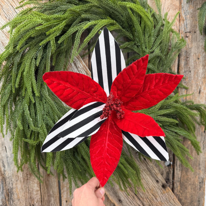24" Red Velvet Poinsettia with Black and White Stripes