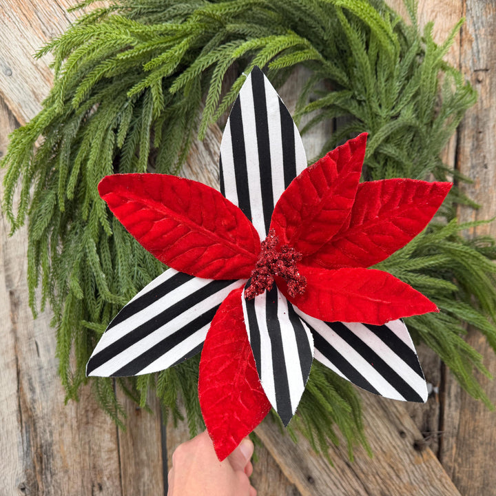 24" Red Velvet Poinsettia with Black and White Stripes