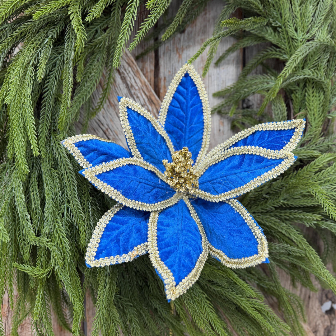 22" Royal Blue Velvet Poinsettia with Gold Trim